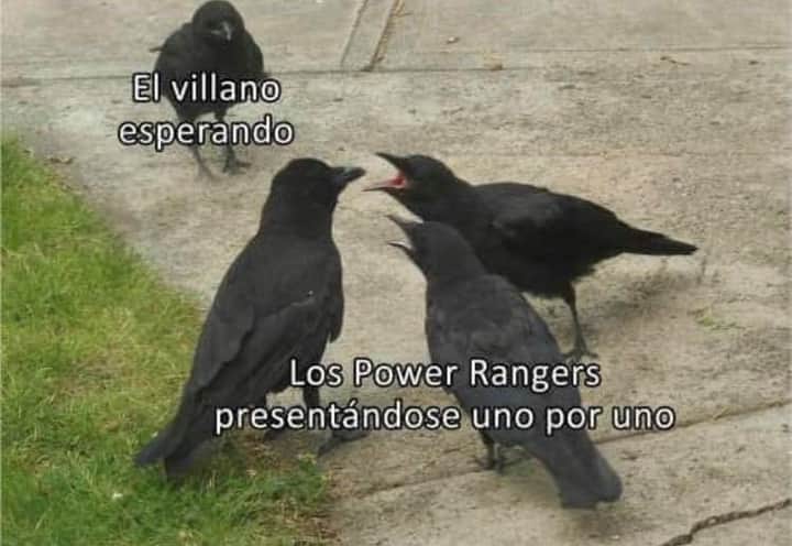 Edwin_Vasquez12's tweet photo. ... https://t.co/n8udGZpisO