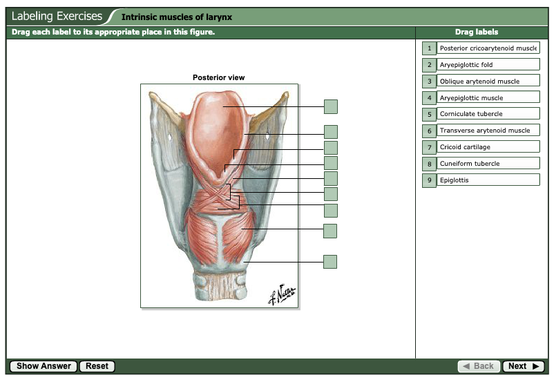 theaknowles's tweet photo. Just found out Netter's Atlas of Anatomy for Speech, Swallowing, and Hearing has a FREE online companion (i.e., students don't even need to buy the book!) that includes quizzes and lots of labelling exercises. #anatomy #slpeeps
https://t.co/K6gI4Fo5nK https://t.co/RvfatunKmC