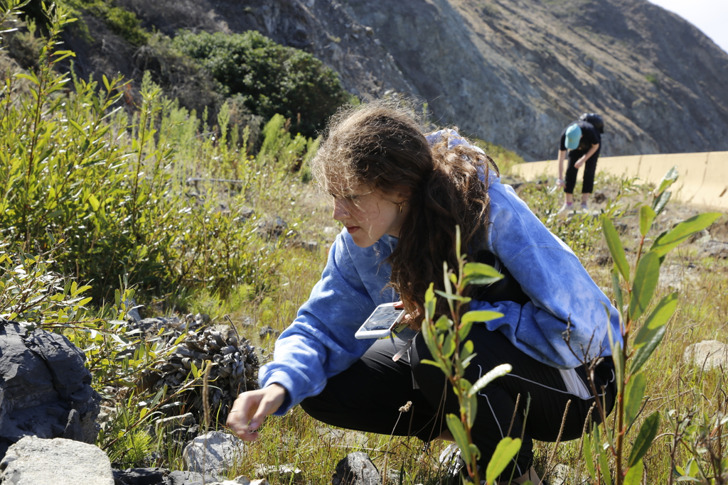 CA Green Ribbon tweet media