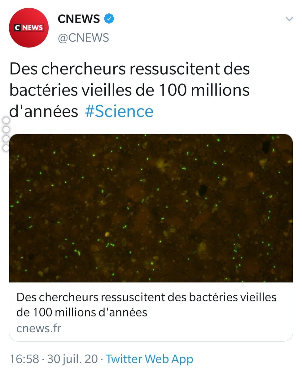 Alain Jupépé tweet media