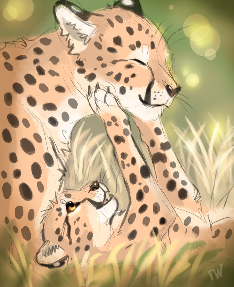 FlashWhite_'s tweet photo. === Raffle ===

You should follow me and retweet this post.
Raffle will end 29 september.
Winner will receive coloured sketch with bg.
I draw any animal and fantasy creatures.

If there will be more 500 retweets - two winners.

Thank you for taking part and good luck. ~
#Raffle https://t.co/1wXenIBnaa