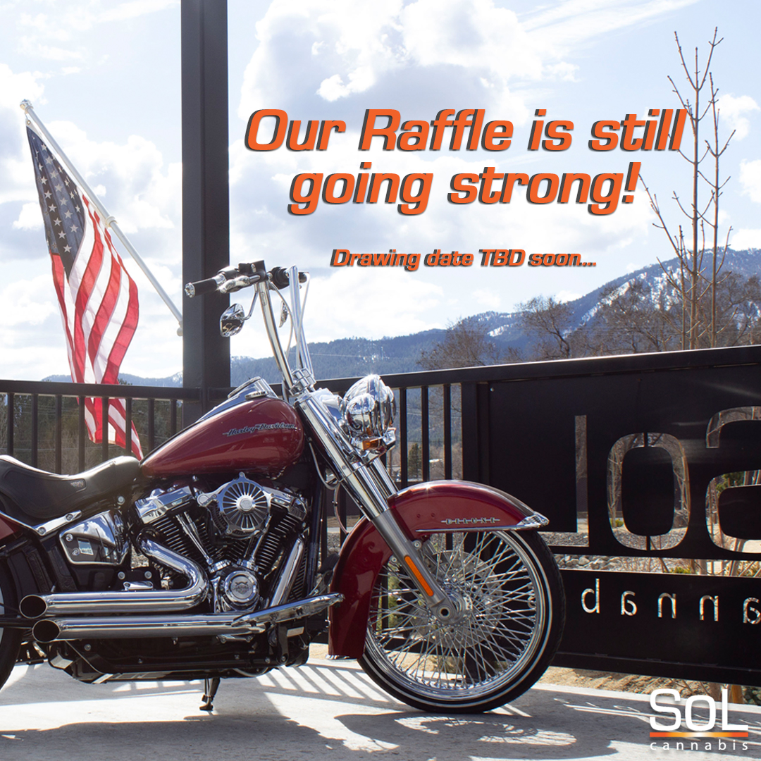 solisbetter's tweet photo. Our Raffle is still going strong, so enter now for your chance to win cash, a custom-built Harley Davidson, or a new Mini Cooper! Ask your budtender for more information, and come see why #solisbetter!

Keep out of reach of children. For use by adults 21 years of age and older. https://t.co/T5w7H0Bxx0