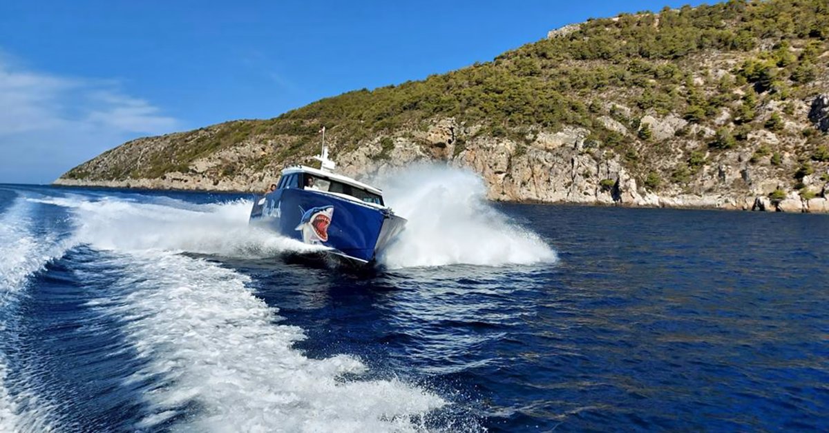 bluesharksplit's tweet photo. Isn't it beautiful?🚤🌞💕
#bluesharktour #bluesharksplit #travel #travelling #croatia
👉https://t.co/iAZGRQpIzp https://t.co/C77cPujpPs