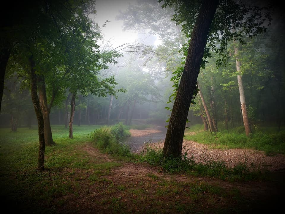 DiscGolfProTour's tweet photo. The Mid America Open is played on the famed Harmony Bends disc golf course, designed by John Houck. The course is consistently rated as one of the best in the world. Have you been out to Columbia, Missouri yet? https://t.co/zgBdxvb5Ra