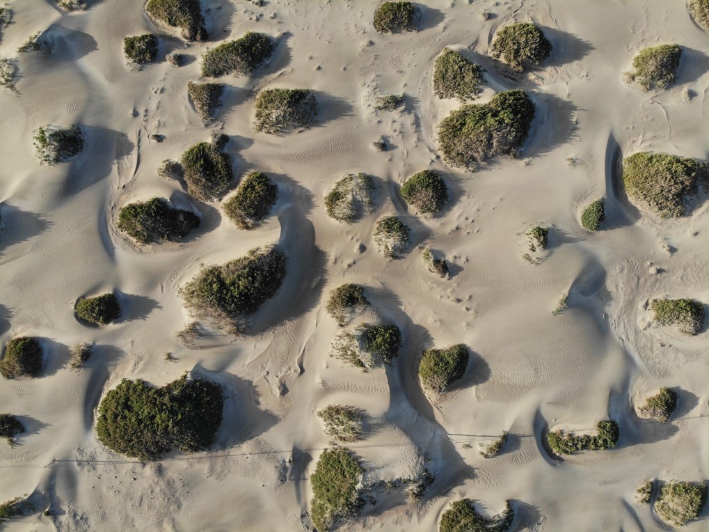 INTIMEproject1's tweet photo. Last February @INTIMEproject1 conducted a field campaign in #Lanzarote🇮🇨, leaded by @UniSassari staff. Let's have a look at some of the sampling locations. To begin with, a nice picture of the Dune field of Famara, taken from the drone. #Martian #analogue #FieldCampaign
👇 https://t.co/Q7ocemQutc