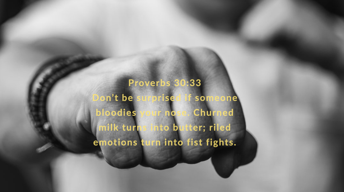LannyPastor's tweet photo. POTD: Prov. 30:33
#conflict #seekpeace #fistfights https://t.co/Z4crtjmrBI