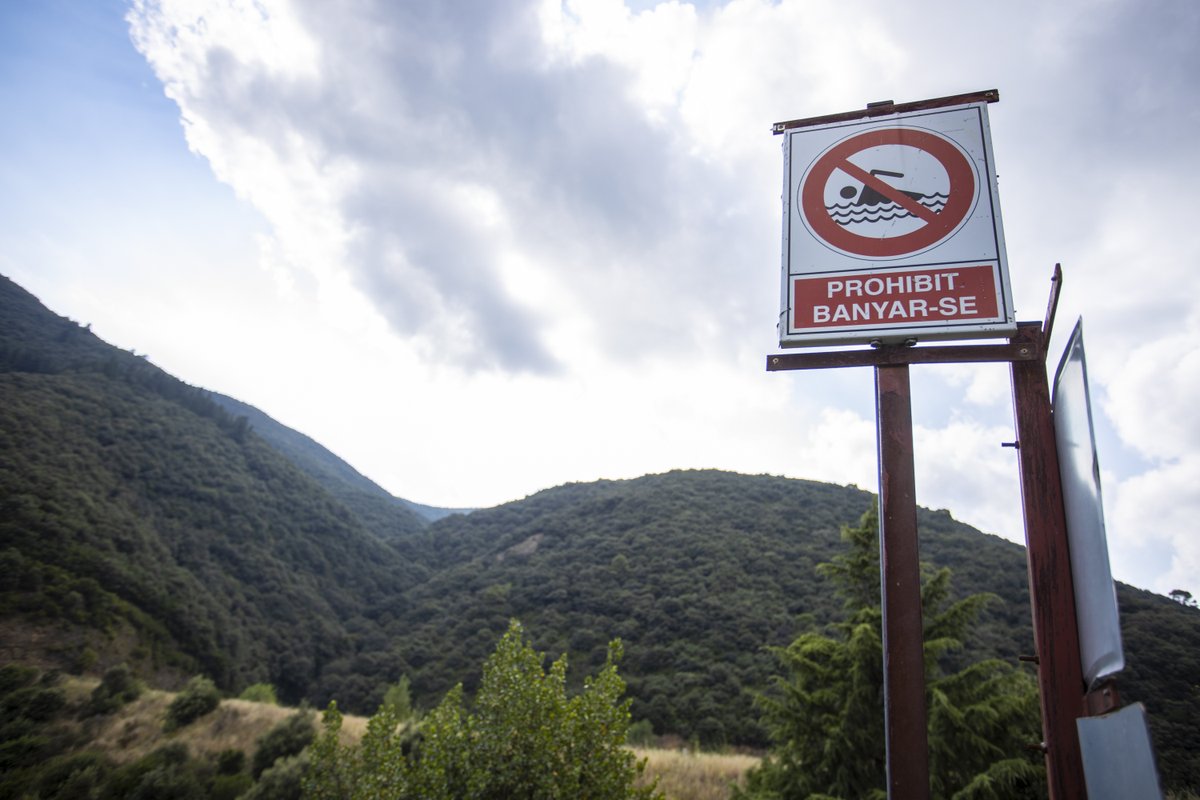 el9nou_vor's tweet photo. 📰 TITULARS Creixen les sospites sobre la possible presència de més silurs al pantà de #Vallfornès, a #Canoves
🗞️ Tota la informació aquest dilluns amb @el9nou_vor que trobareu al vostres quiosc, llibreria i als @bonpreuesclat del #VallesOriental https://t.co/5CZMUpHCY0