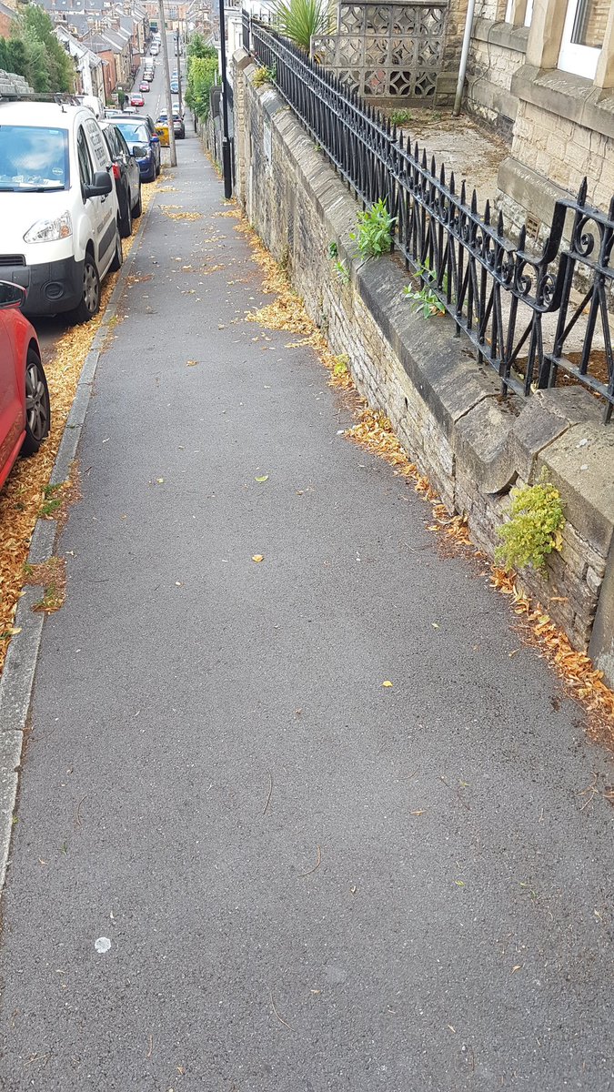 I'm back, with a little more. The secret to finding original railings is to look for places where removal would have left a big drop on one side, like on steep streets. I found some near me and this also shows how the styles varied quite a bit, even on neighbouring houses.