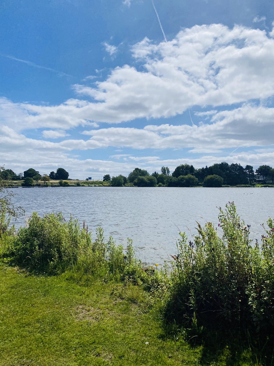 vikki Padfield tweet media