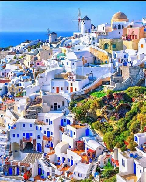 🌺 Iza 💦 tweet media