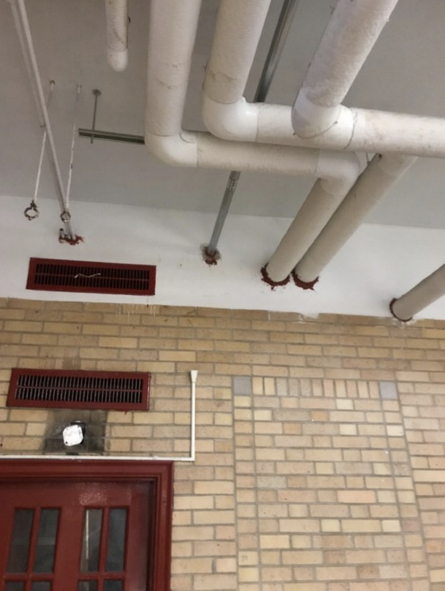 JesuitPrep's tweet photo. Update of the week: Plumbers worked on the cellar water heater and domestic water lines.

#BJPsNewHome #BJP #Brooklyn #JesuitSchool #HonoringThePromise #MiddleSchool https://t.co/z9ybxJZ13l