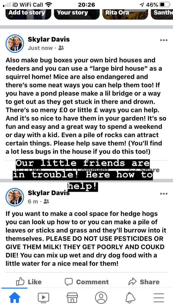 PLEASE SHARE PLEASE DONT LET THEM ALL DIE!