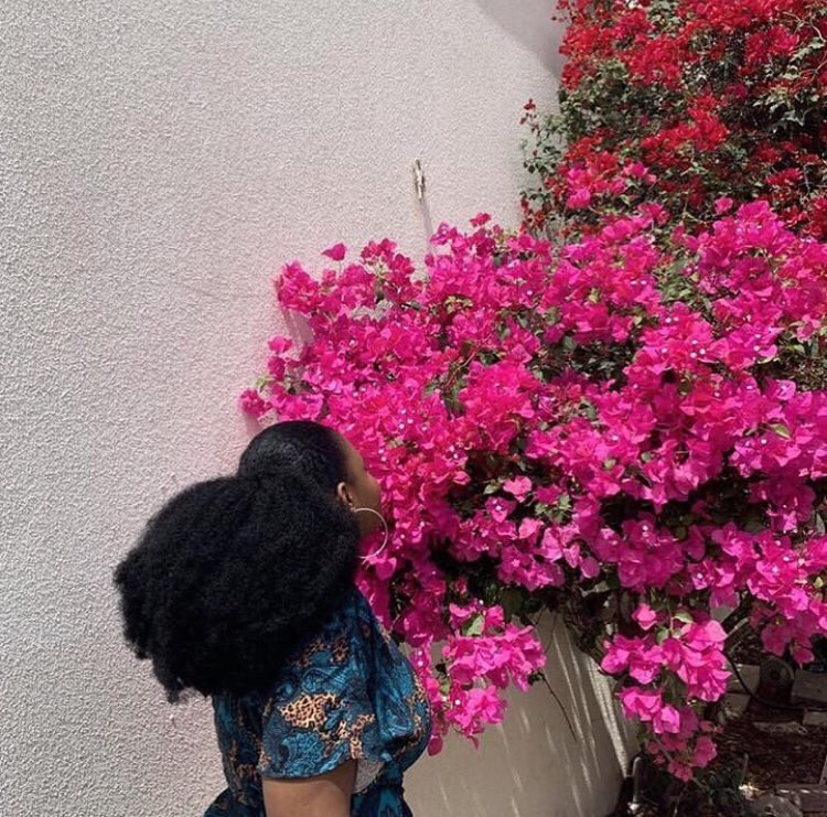 nappyhairedwigs's tweet photo. @Ooreoluwa__ @Tourller Hello,
You can recreate Vee’s style with our drawstring Afro ponytail 
Price - 10,000 Naira https://t.co/ppGMice39n
