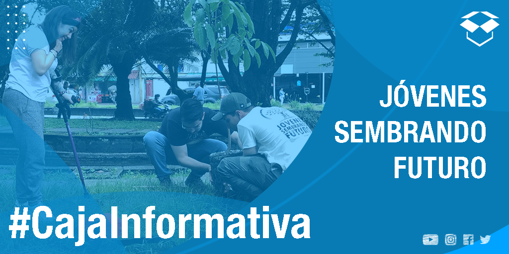 #CajaInformativa | ♻️🌳Jóvenes sembrando futuro es un colectivo quindiano que se encarga de la preservación y cuidado del medio ambiente. Conozca un poco más acerca de ellos. url2.cl/W6sj1