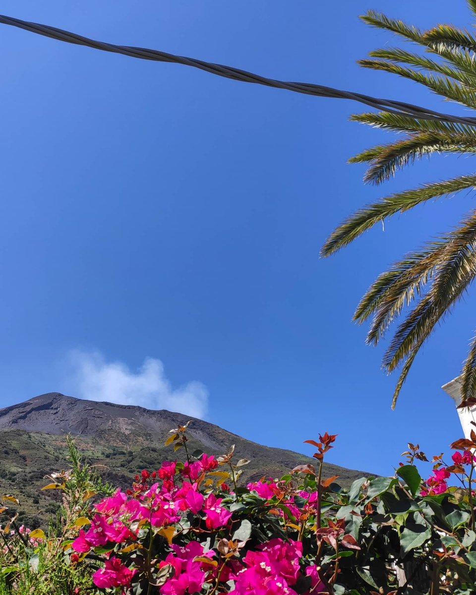 volcanic_an's tweet photo. #stromboli.
Always a good idea. https://t.co/X8EKTyki7m