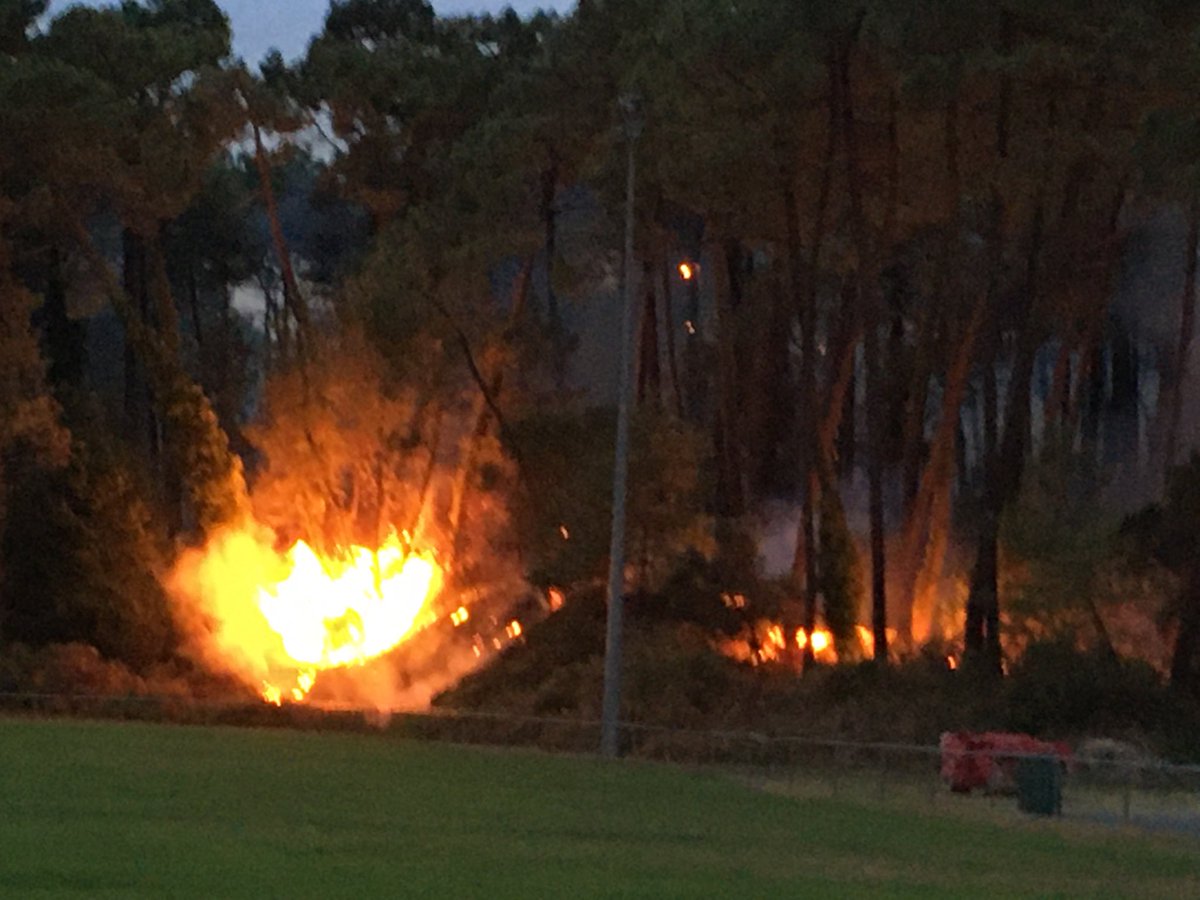 StephanieF3EH's tweet photo. Le feu continue de progresser forêt du Pignada à Anglet Des renforts pompiers des Landes arrivent La nuit tombant les Canadair ne peuvent plus déverser de l’eau Le maire indique qu’il n’y a pas de blessés mais des habitations ont bien été évacuées  ⁦@F3euskalherri⁩ https://t.co/Q8e4Xm5AK7