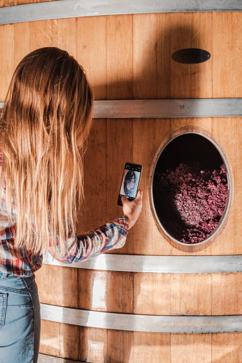 Experiencia del vino | Wine Experience  

Vive los detalles de la magia de la viticultura, reservas desde septiembre | Enjoy the charm of the Viticulture, you can book your visit starting from september.

  #Winetour #Winetourism #Wineexperience