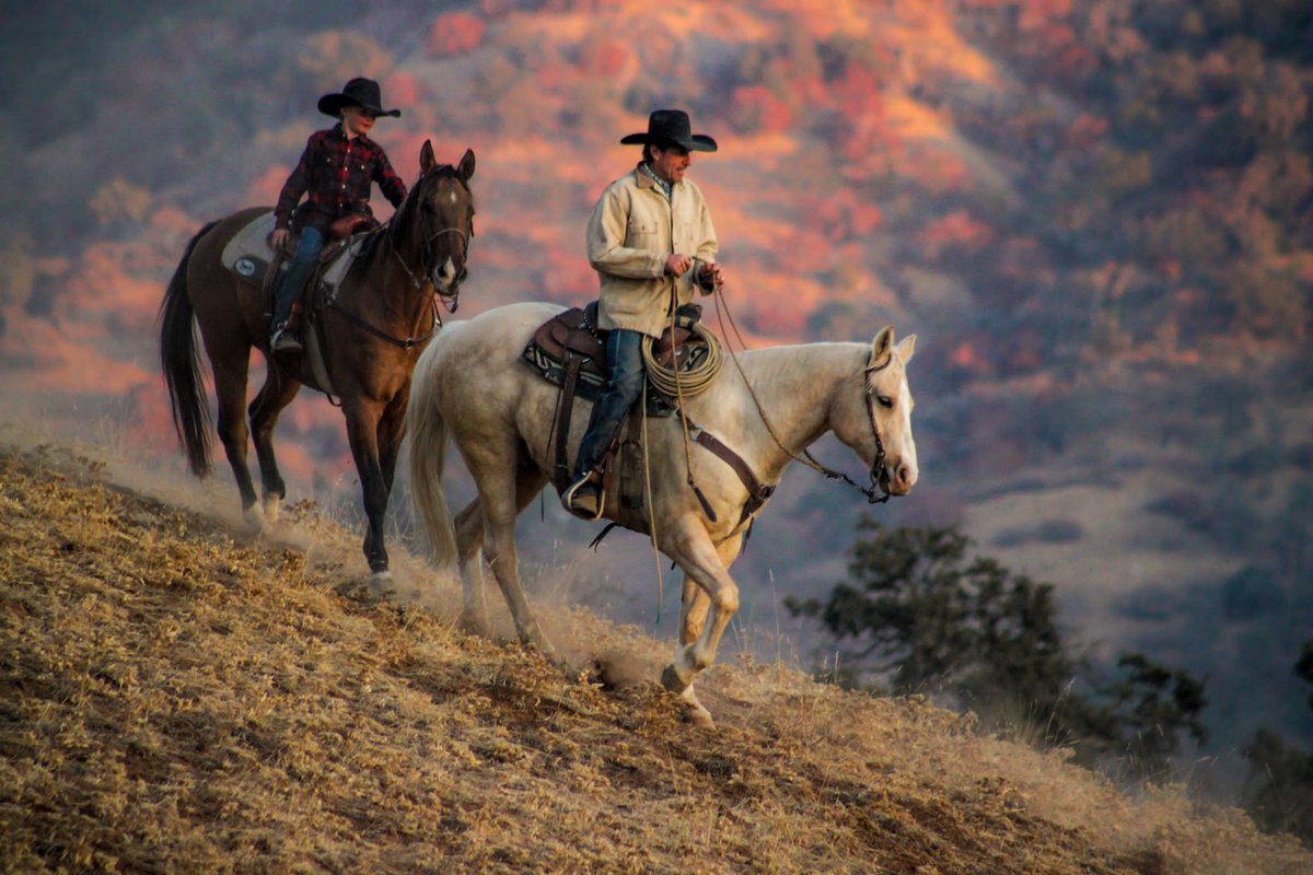 farmandranchpub's tweet photo. #California #CoverProperty
Elliott Land & Cattle - 24,633 acres
Tulare County, California
https://t.co/KvL4hSvuPK
#farmandranch #acreage #cattle #hunting #fishing
#OntheCover https://t.co/pXonqWUQAf