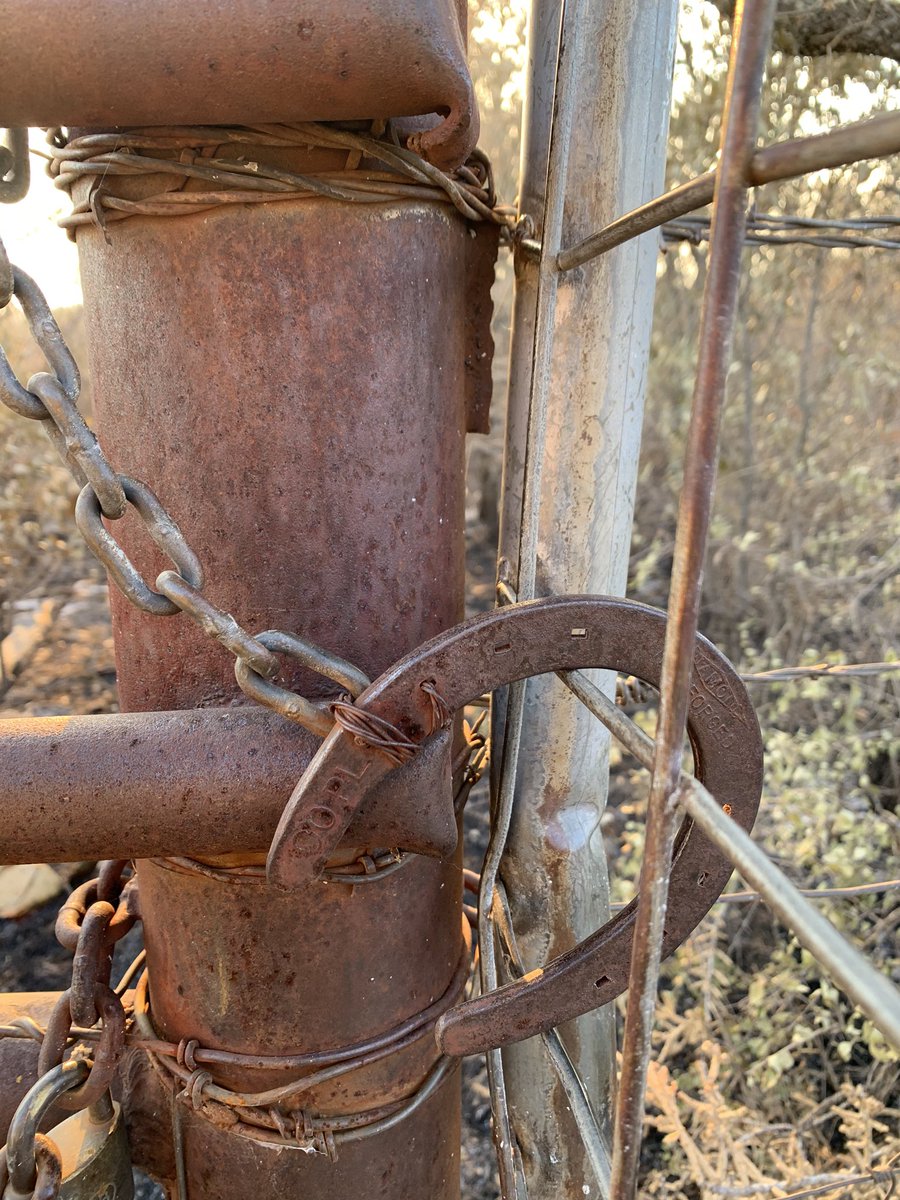 JasonOShell's tweet image. A few more scenes from Texas. My favorite saying so far; “it’s so flat, you can watch your dog run away for 2 days” 🐕