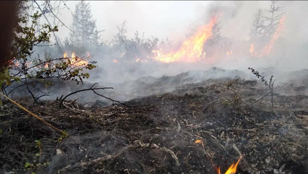 franceinfo's tweet photo. Sibérie : la vague de chaleur et les incendies libèrent du méthane qui risque de rendre "hors de contrôle" le changement climatique, alerte un membre du GIEC

https://t.co/a7vYfte9AM https://t.co/iljlkmUxvS