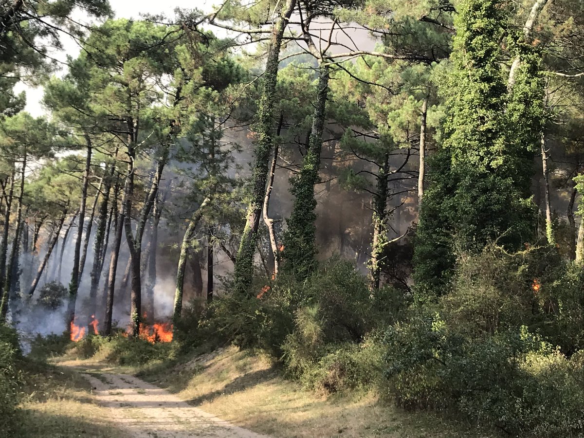 clem_a45s's tweet photo. Départ du feu à #Anglet, vers 18h50, avant que cela deviennent un feu incontrôlable #anglet #feu #binks https://t.co/K312YBsQND