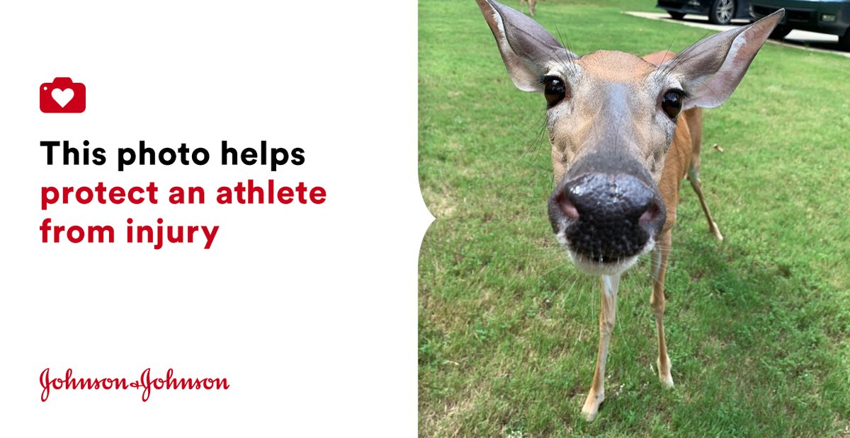 JAManners's tweet photo. #jnj @donateaphoto #NATA2020 #photoaday #natafnd https://t.co/R7q8Gg8jdA https://t.co/xH74YXYWht