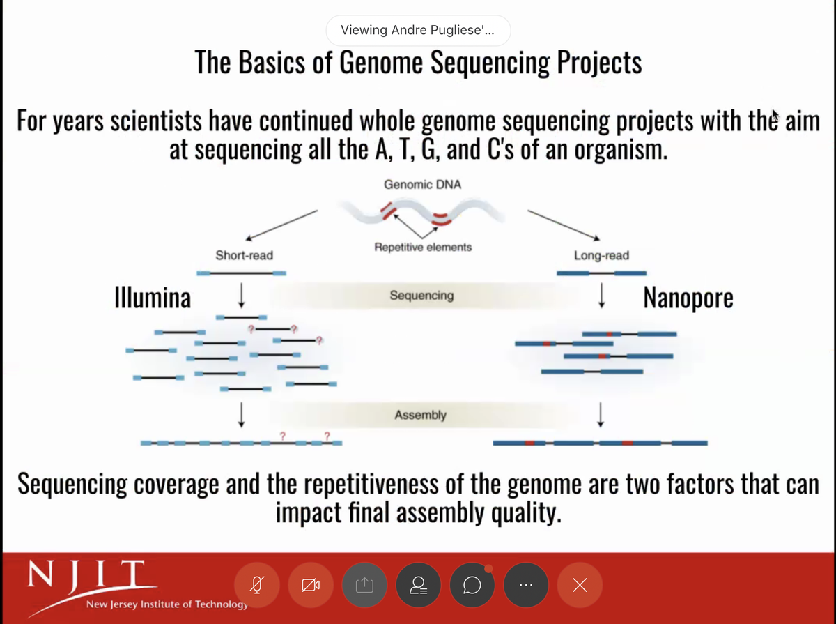 Haidomyrmex's tweet photo. Congratulations Nitya Shah and Andre Pugliese for their excellent presentations today at the @NJIT Honors Summer Research Institute virtual conference! Congrats also to @solomonchak for working with Andre! Nitya and Andre are doing exciting remote science on ants and genomes. https://t.co/oHUy6K8KEi
