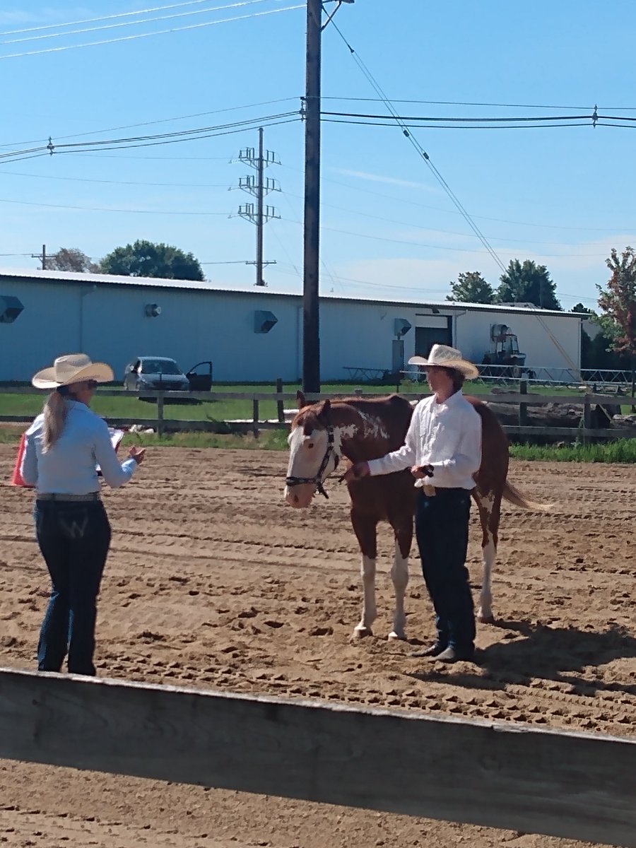 Congratulations to our Riceville FFA horse exhibitors yesterday! Hannah Sunnes received High Point Games and High Point Overall as well as the Sportsmanship Award.  Theo Klaes received many blues and did a fantastic job showing his horse for the first time!