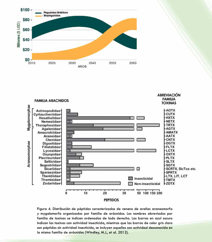 PIPNAC's tweet photo. Les compartimos el artículo "Los péptidos como nuevos insecticidas potenciales para el control de plagas del nogal " #nogal #nuezpecanera #Capacitación #agricultura #pacanas #pecan #pecanas #RevistaNogaleros #COMENUEZ https://t.co/fbw95YwEuZ