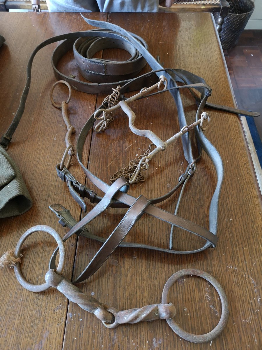 He was given the saddle, girth, bridle parts and bits, plus three uniform jackets and documents. The lady told Dad this relative had 'fought the Turks in Palestine'. Perhaps not surprisingly, the items didn't sell so Dad took them home and has kept them ever since... 2/9