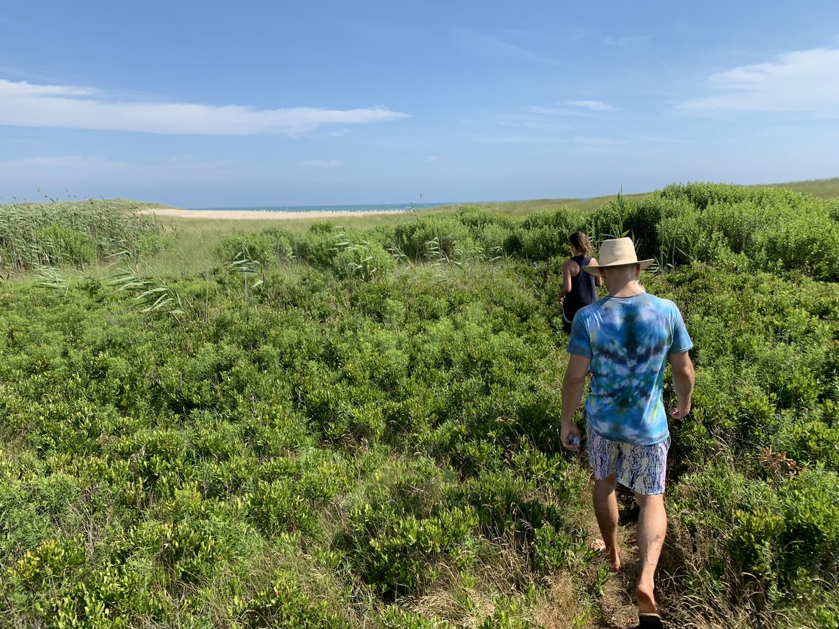 Aspects of today’s hike with  @laurenoshag  @billderness reminded me of Africa, then the ocean hit. Incredible stuff.