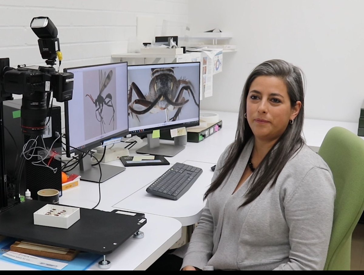 1/9 Prerecord interviews of your spokespeople while maintaining physical distancing, in case media outlets cannot come to you on the day. Promote diversity. Upload these to a folder in your cloud service of choice.