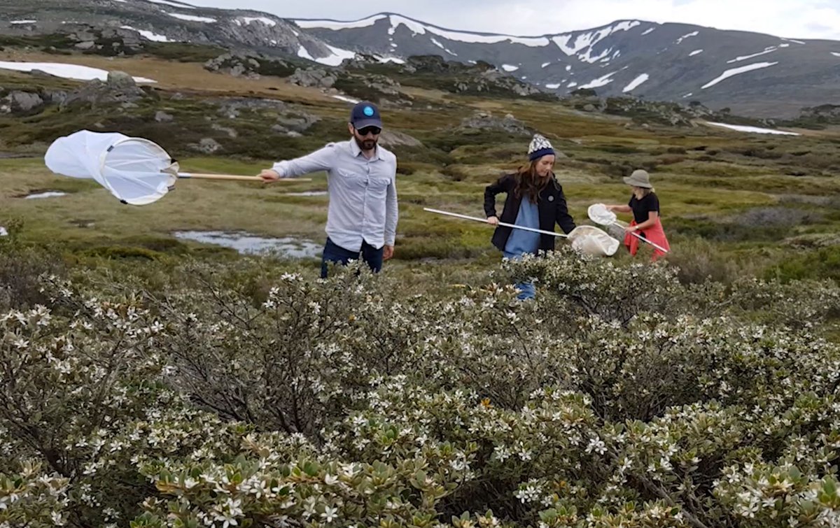 2/9 Film videos and take quality images of your critters, subject, field site and staff working to support your story. Put these in the cloud folder. The media will use this as overlay/B-roll.