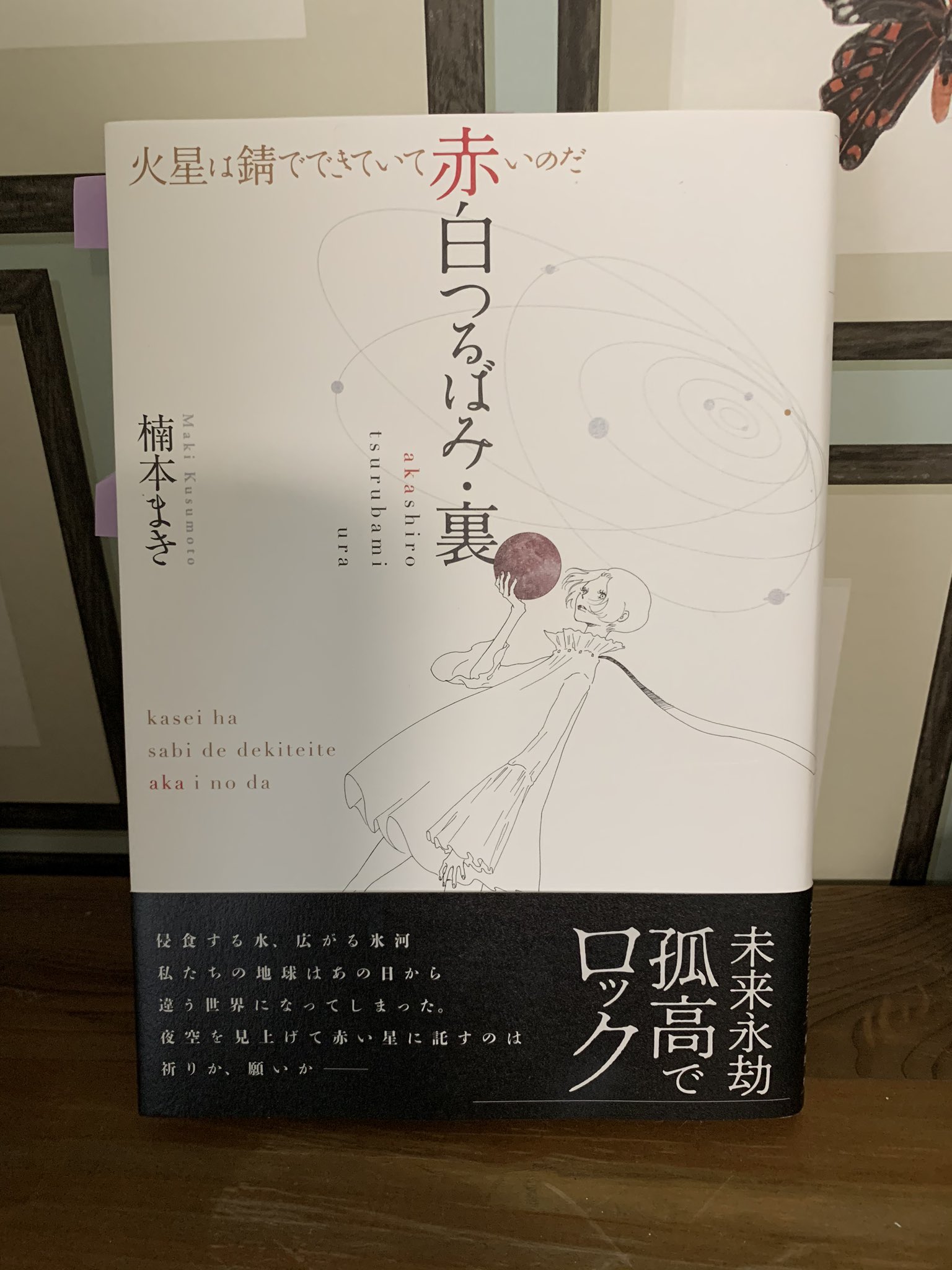 アルテイシア新刊 モヤる言葉 ヤバい人 En Twitter 人と違ってもいいんだ と中学生の私を救ってくれた 楠本まきさんの新作 赤白つるばみ裏 大好きだった漫画家さんを30年後も大好きと言える幸せよ 多様性を肯定する全ての人に届いて欲しい