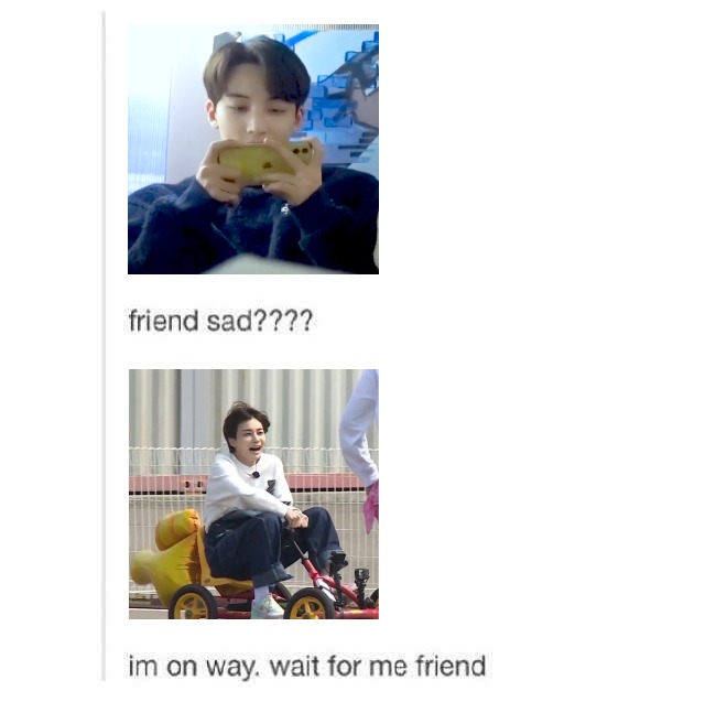 hanniebars's tweet photo. friend sad? jeonghan is on his way!! https://t.co/Is22Lgvwja