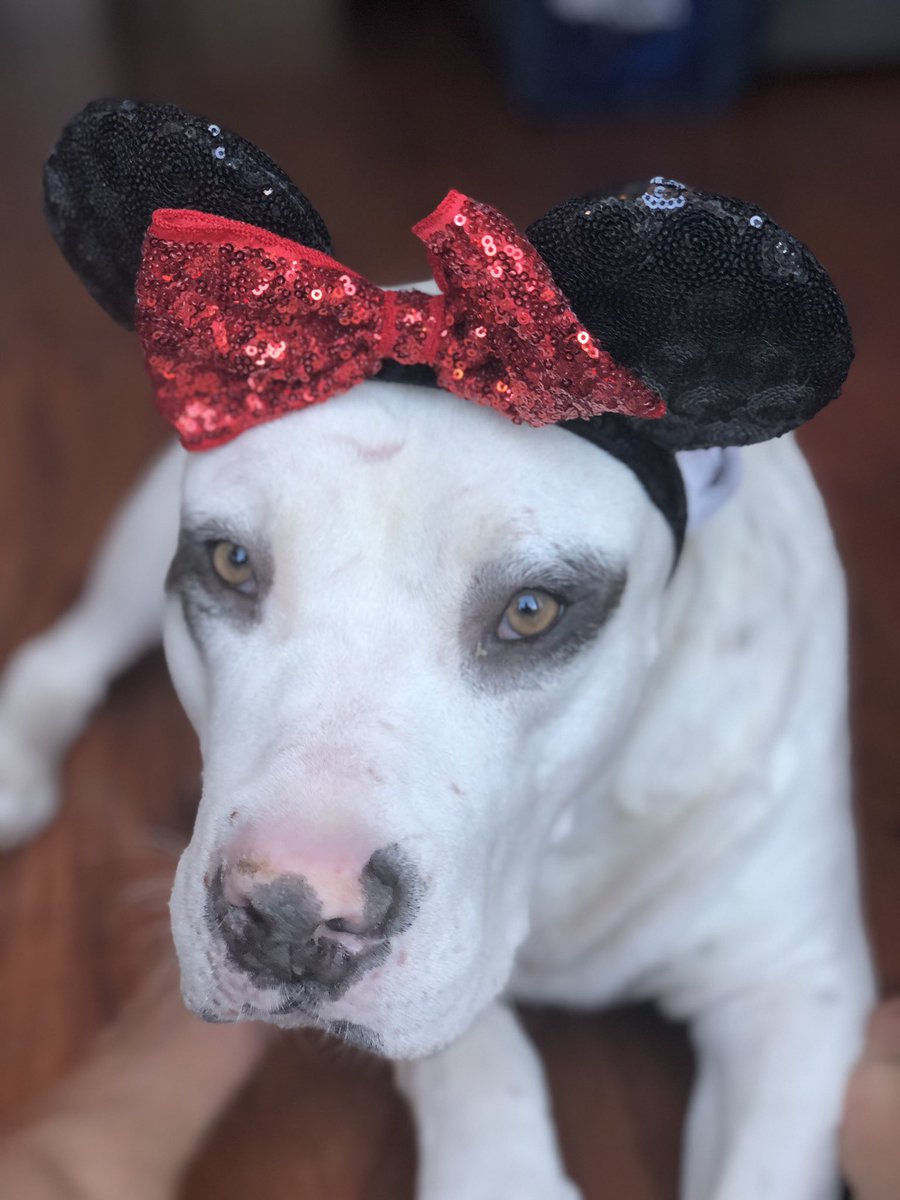Get a load of my dapper Disney boi