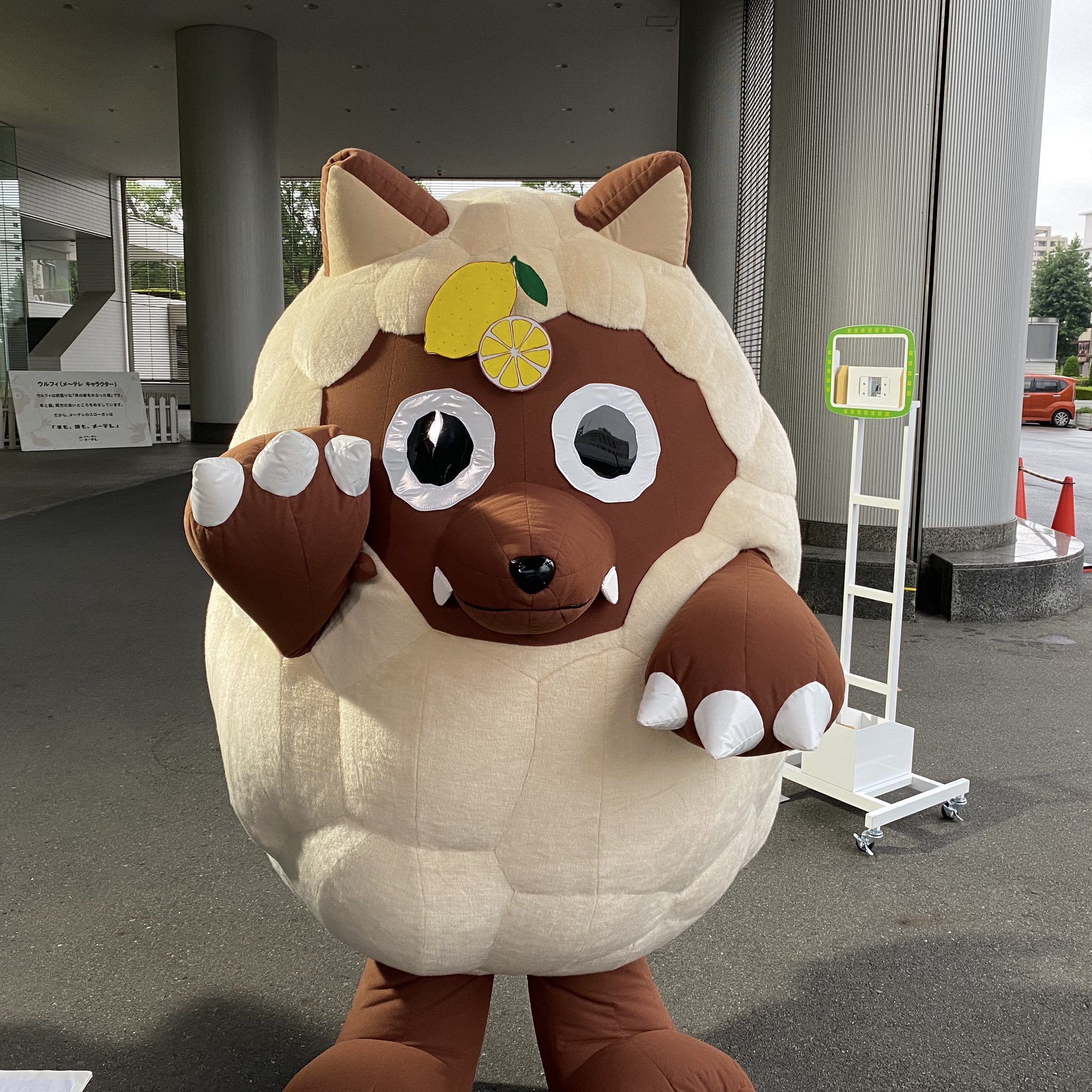 ドデスカ メ テレ 公式 おはようございます 南雲穂波です 梅雨空は今日までです 金曜日は ソラをライブ はお休みです 代わりに どうぶつzoo鑑 ずかん があります クイズが出題されるので リモコンのボタンでぜひ参加して
