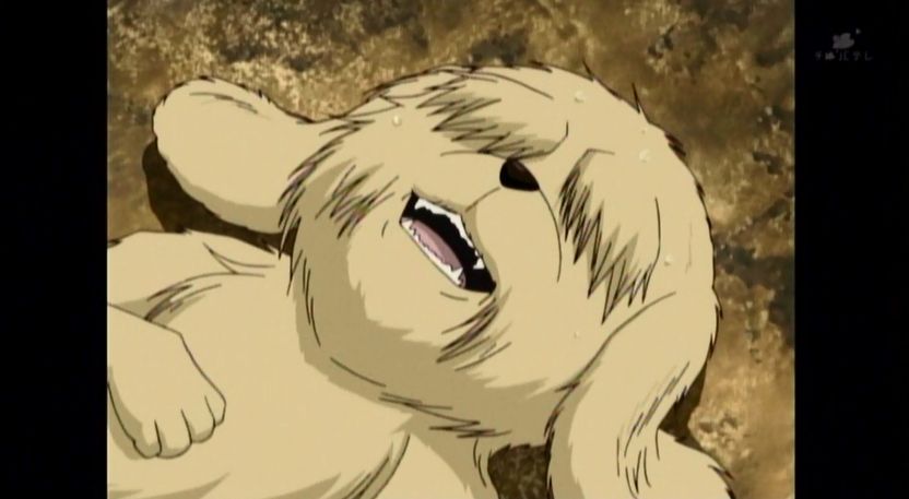 嘲笑のひよこ すすき 本日8月2日は 銀魂 の金太郎の誕生日 おめでとう 金太郎生誕祭 金太郎生誕祭 銀魂 Gintama 銀魂好きな人rt 銀魂好きな人はrt