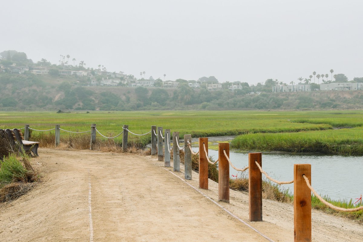 SD_Nature's tweet photo. The Nature Center loop #trail has reopened!
https://t.co/Rowgb8NMap
-
#sanelijolagoon #trailupdate https://t.co/5LNUfXlCsj