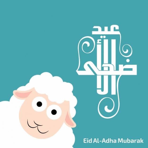ayabiohalal's tweet photo. EID MUBARAK AU NOM DE TOUTE L’ÉQUIPE AYA🌙 https://t.co/Fjb1KeRO8K