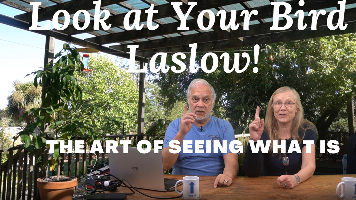 MoreUpTube's tweet photo. We have three phrases to remind us of what is important and what is not:

Look at your bird Laslow!
Pudding Pudding!
Fly the Plane!

See what is
This is an adventure and could be scary
Keep your attention on your goal

Our latest YouTube video
https://t.co/1coL6U6gNk https://t.co/u5suoJjc8t