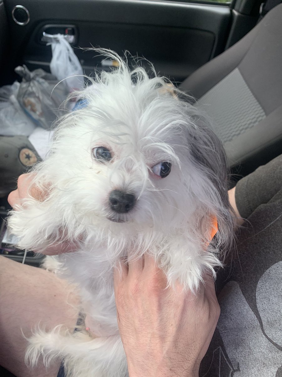 MotorcopC's tweet photo. When you make a traffic stop and the driver is super friendly but his attack dog keeps side eyeing you. #BlueLivesMatter #doglife #trafficstops #motorcops https://t.co/LYYlz9BGFK