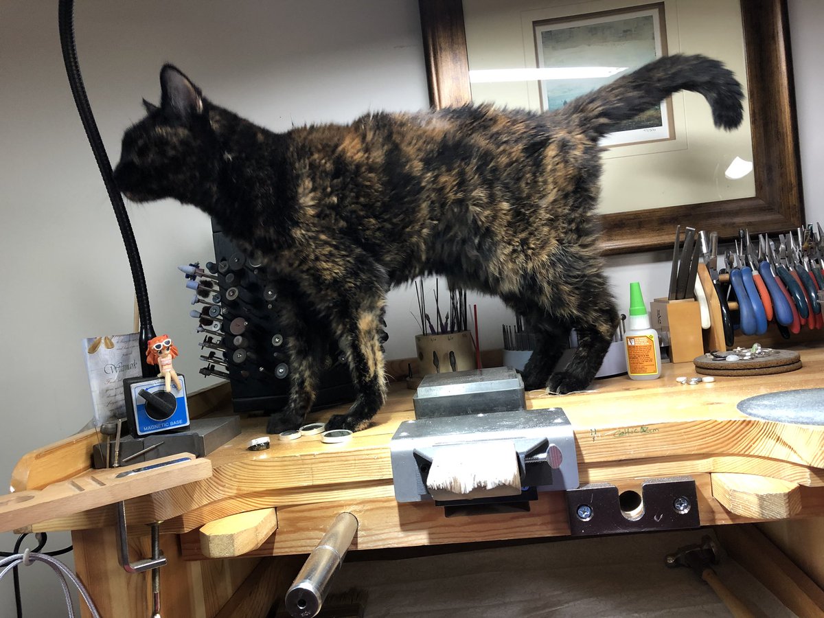 HotTorStudio's tweet image. She is onto something. Studio is safe and guarded all times. Chief Security Officer, Amelia.