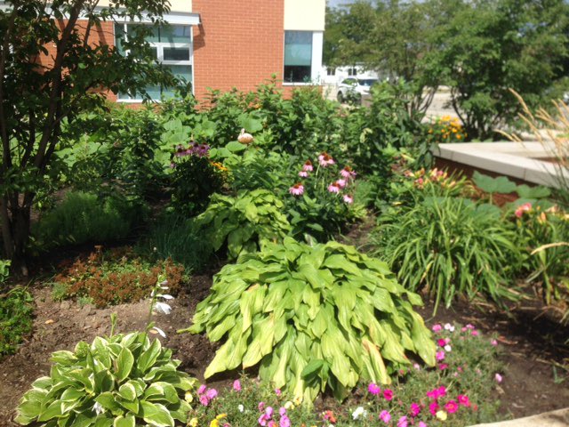 Carrefour des jeunes tweet media