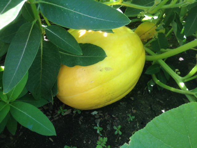 Carrefour des jeunes tweet media