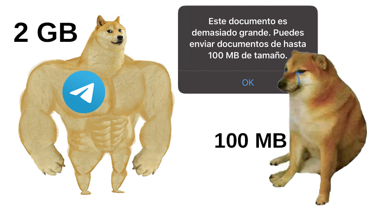 telegram_es's tweet image. 