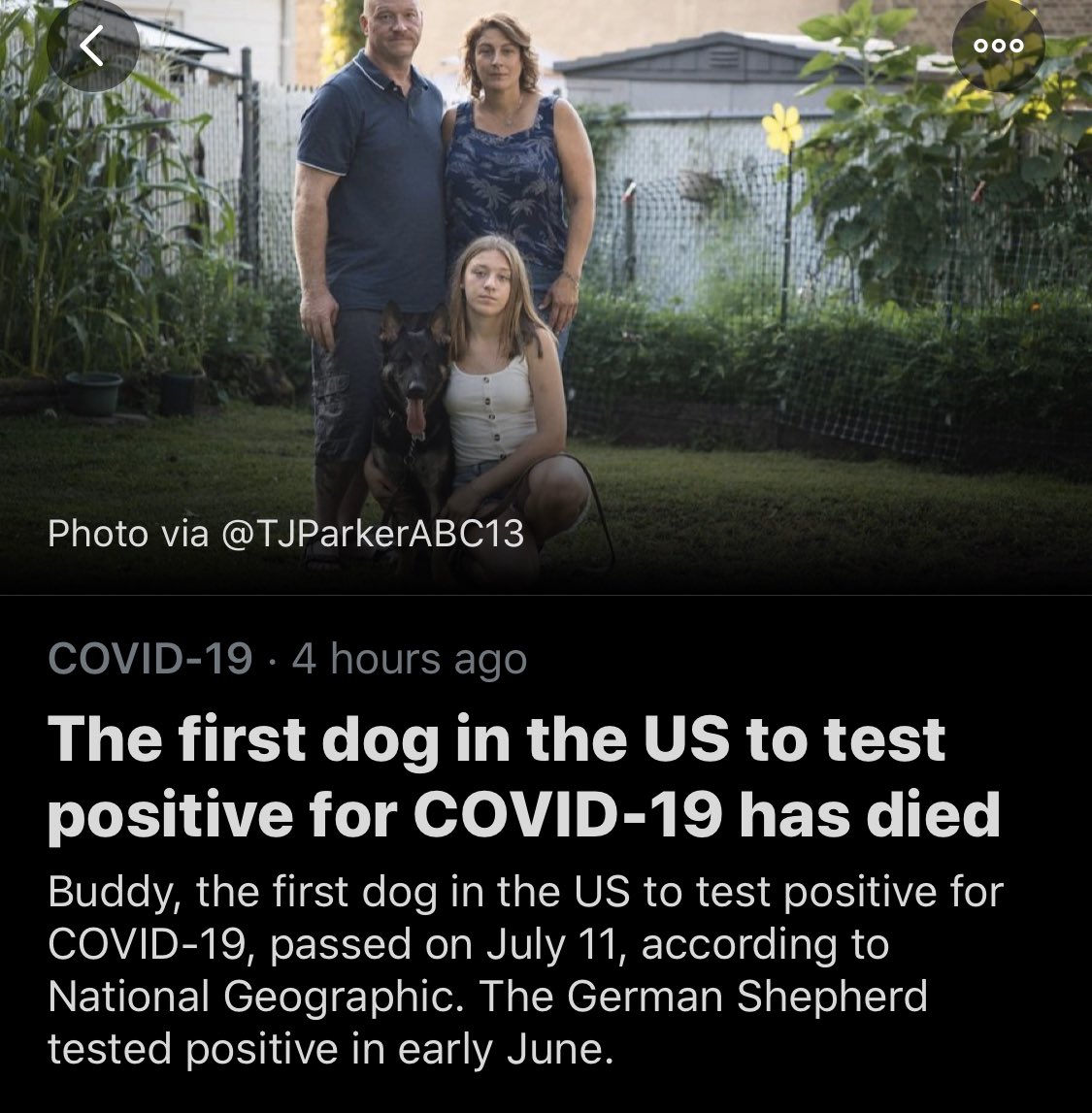 chaselyons's tweet image. this is where i draw the line