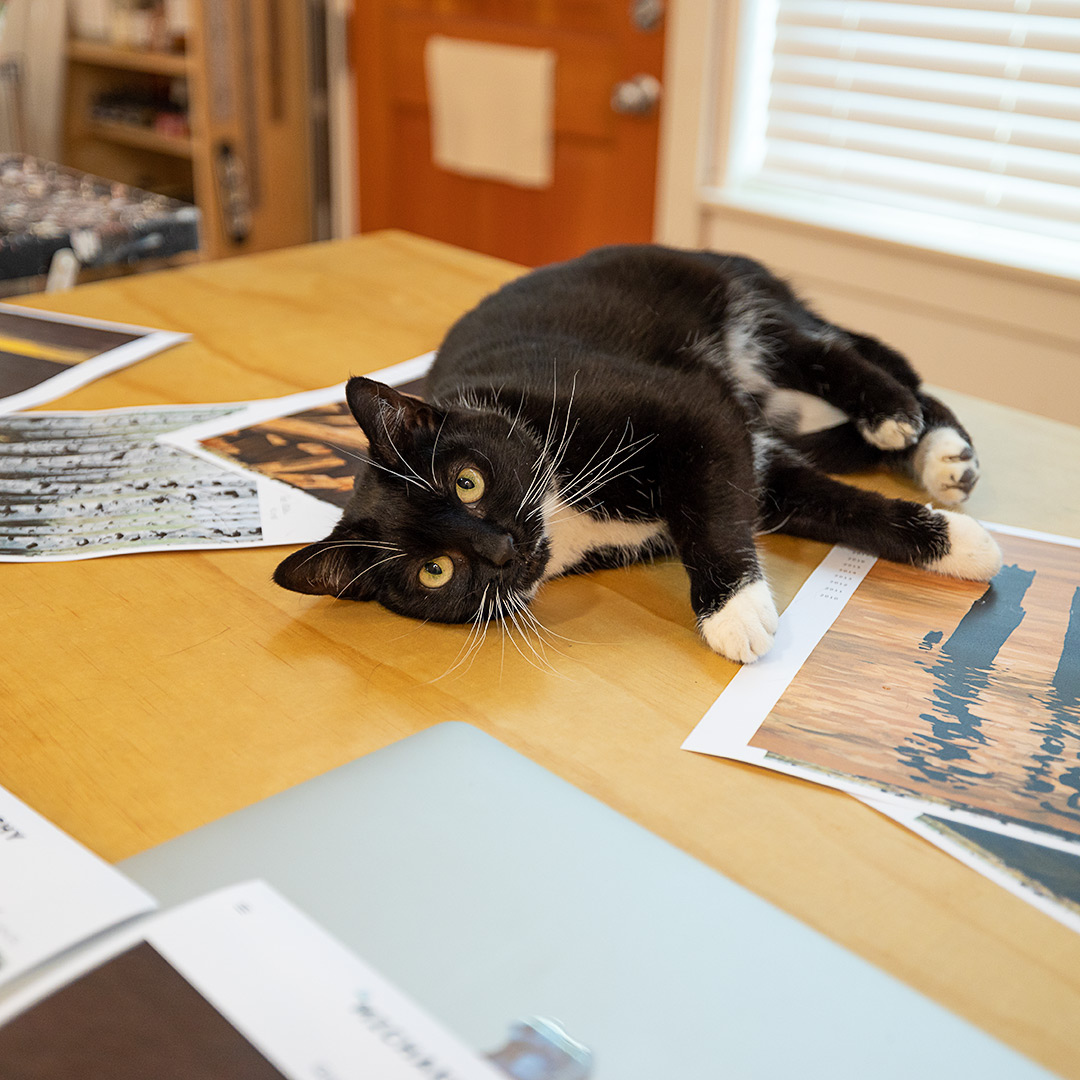 RussoLeeGallery's tweet photo. We had some very cute help during our studio visit with Michael Brophy a couple weeks ago! His exhibition HOME opens next week, and the work can be previewed on our website now. 

https://t.co/5r9DO5vC3z https://t.co/T9eYSZy1bj