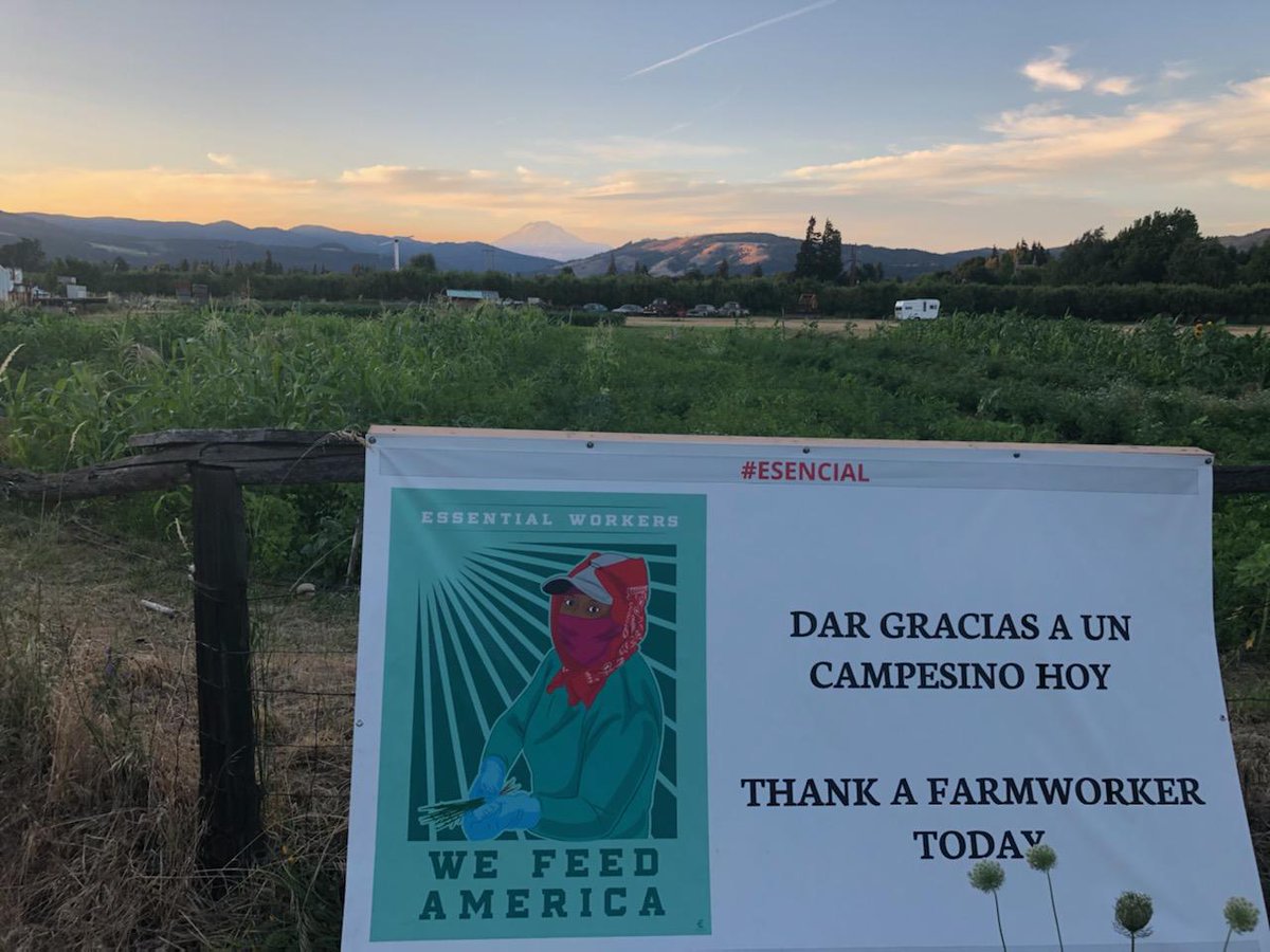 Esencial banners throughout the community, celebrating essential farmworkers. Somos una comunidad. We are one community. #esencial #esenciales #essentialworkers #farmworkers #ruralhealth #healthequity #thankafarmworker