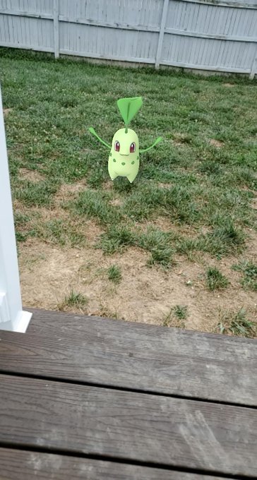There's been a lot of grass spawns near me and im here for it https://t.co/MY3earjMyD